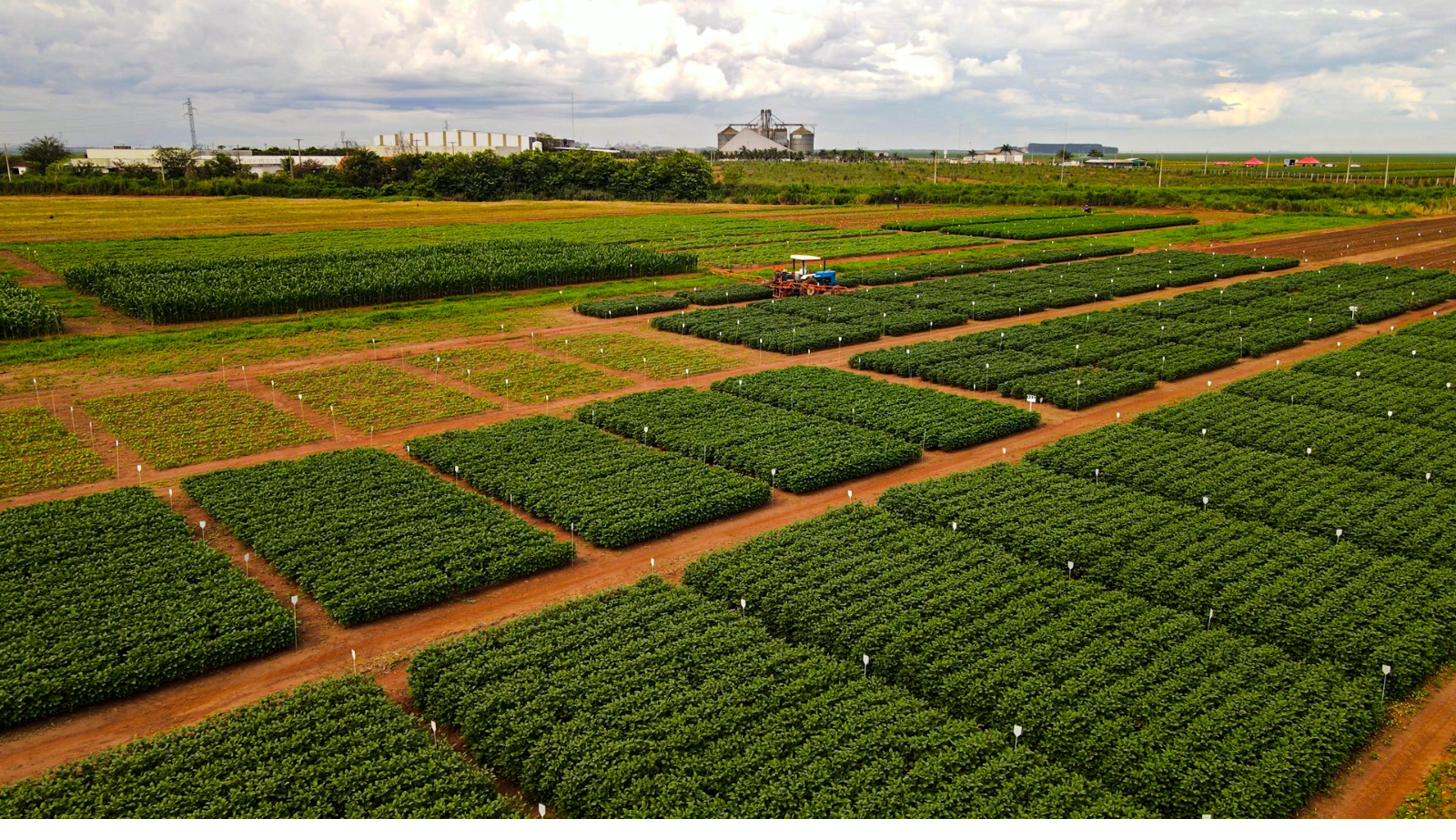 Vista aérea do campo experimental da AGROMAX, com parcelas de soja e milho demarcadas e pulverizador em operação